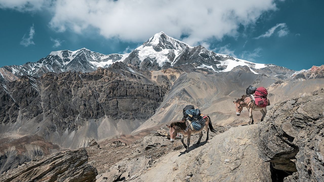 Galerija Langtang pārgājiens  Nepālā (0)