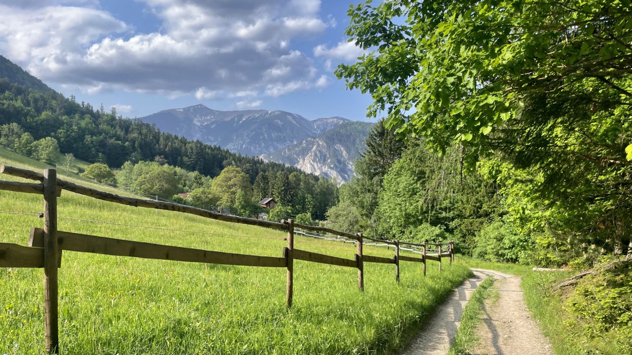 Galerija Austrijas Getaway (0)