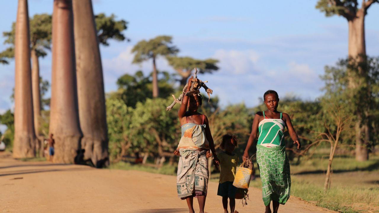 Galerija Madagaskaras piedzīvojums (0)