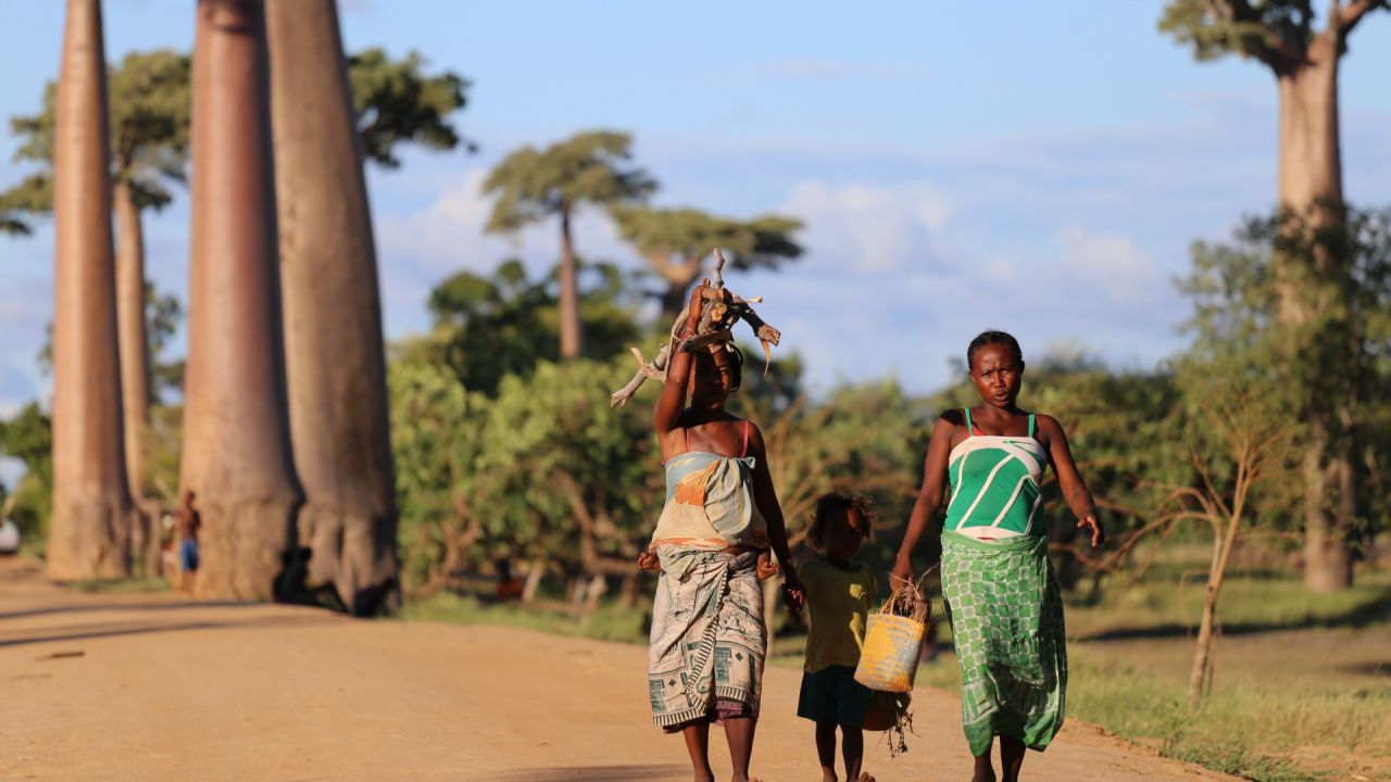 Galerija Madagaskaras piedzīvojums (0)